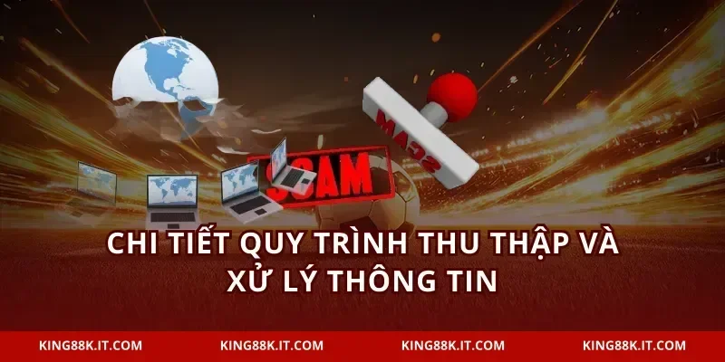 Chi tiết quy trình thu thập và xử lý thông tin