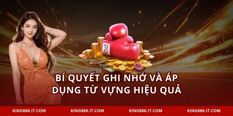 Bí quyết ghi nhớ và áp dụng từ vựng hiệu quả